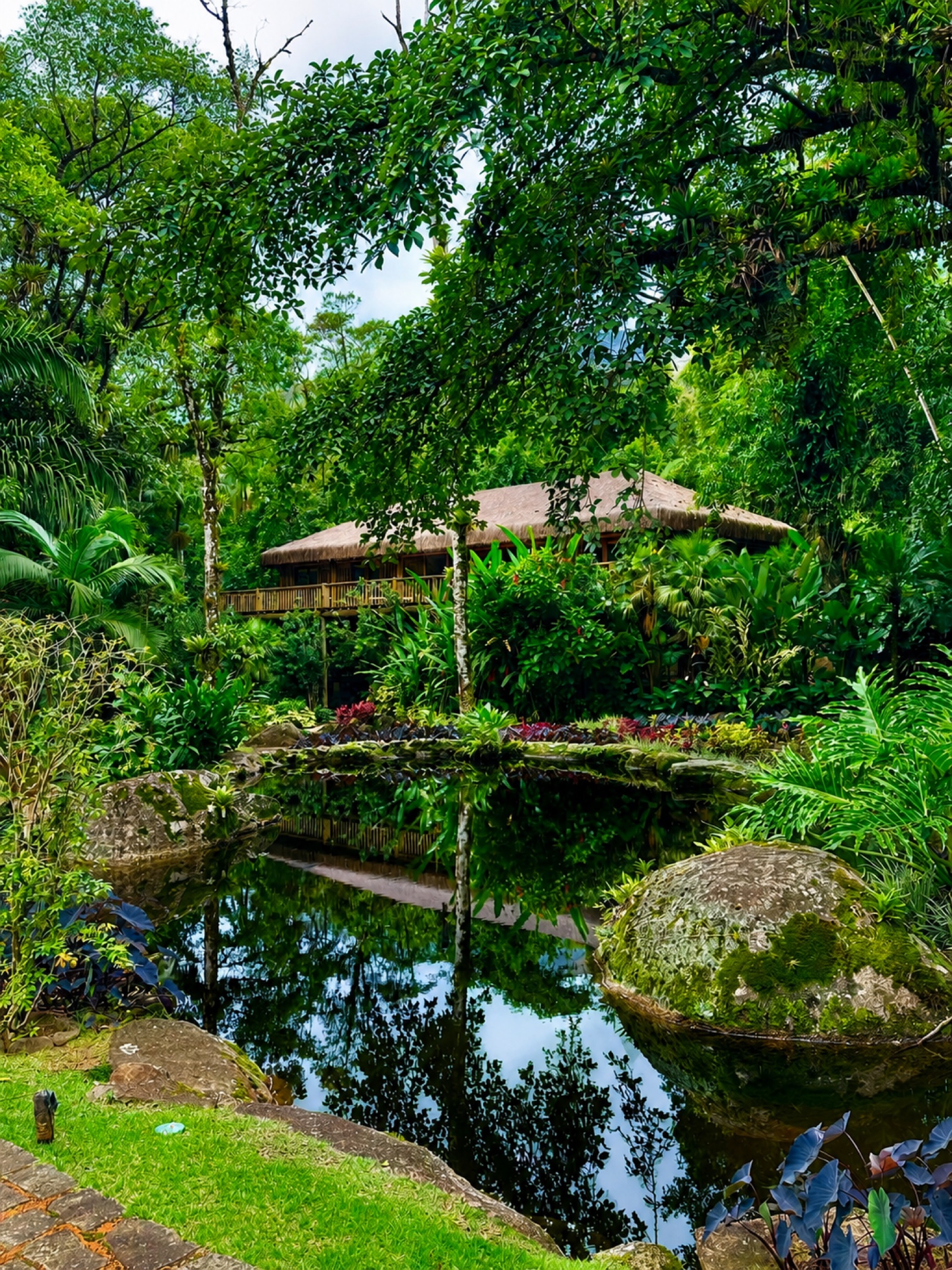 Forest structure reflected in a pond surrounded by tropical plants