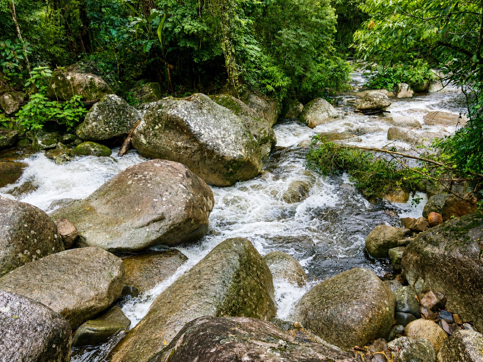 River water flowing around large stones