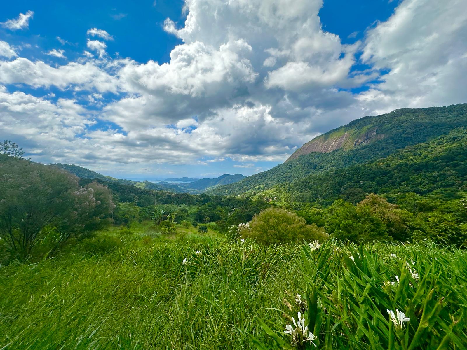 Mountain and Atlantic rainforest view from Chão de Estrelas